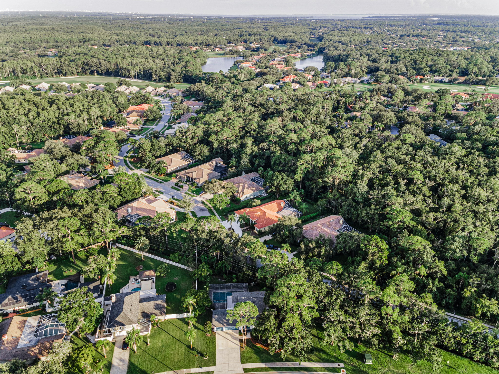 Aerial (2)
