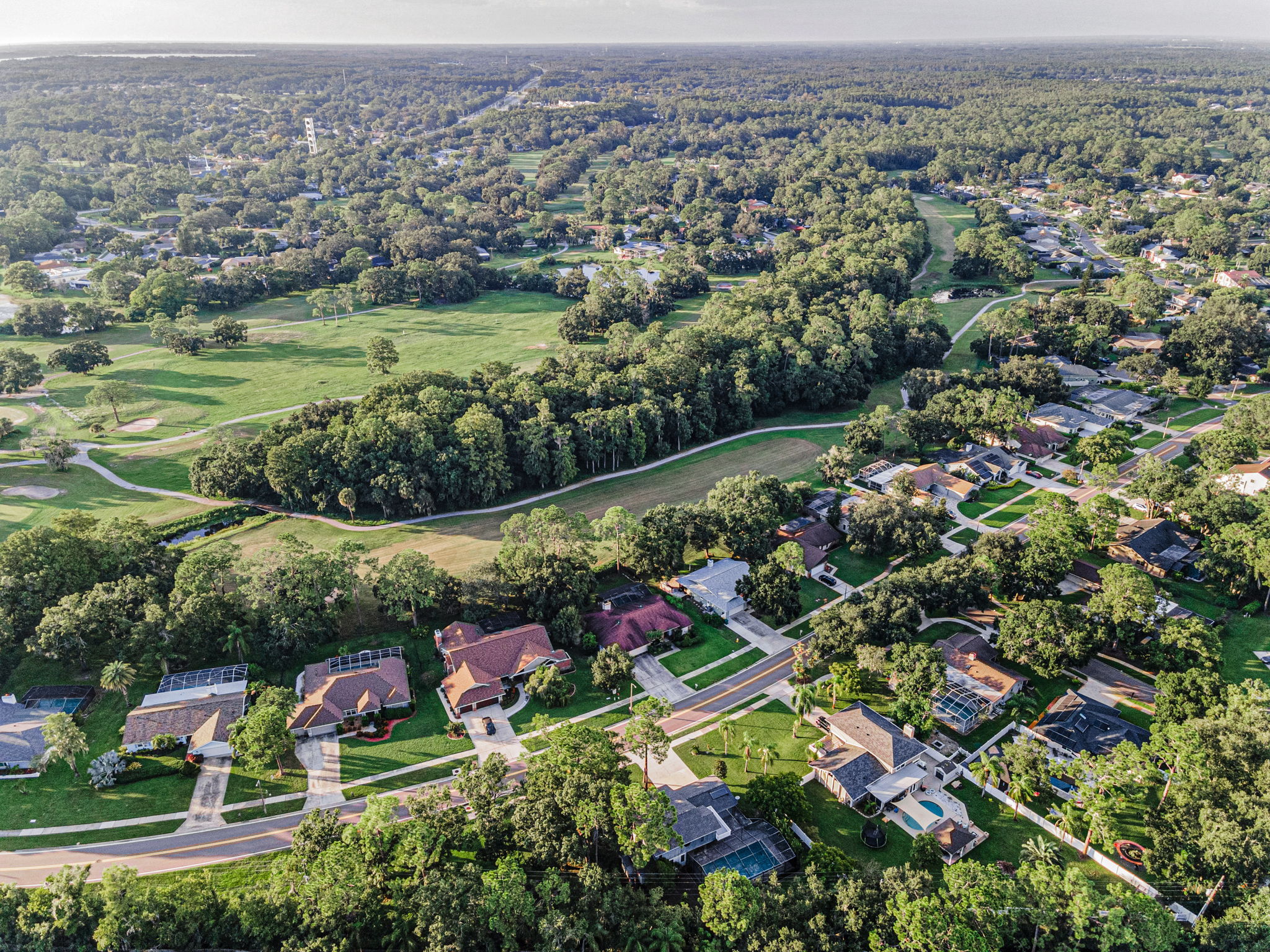 Aerial (6)