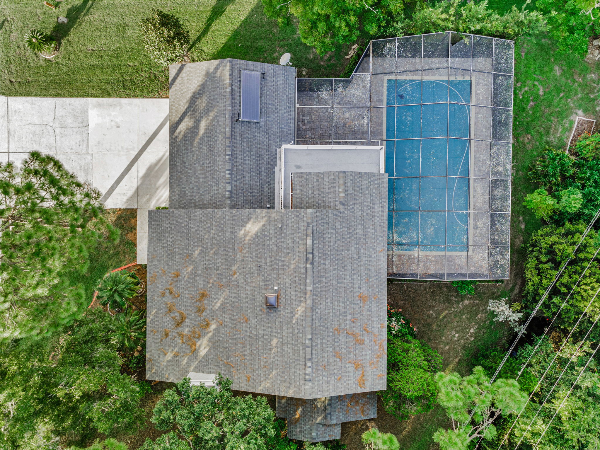 Aerial (7)