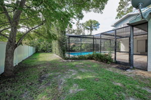 Backyard1