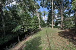 Backyard8