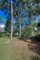 Backyard9