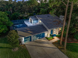 Aerial (12)