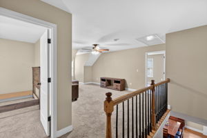 mppmedia3131sweetbriardr22