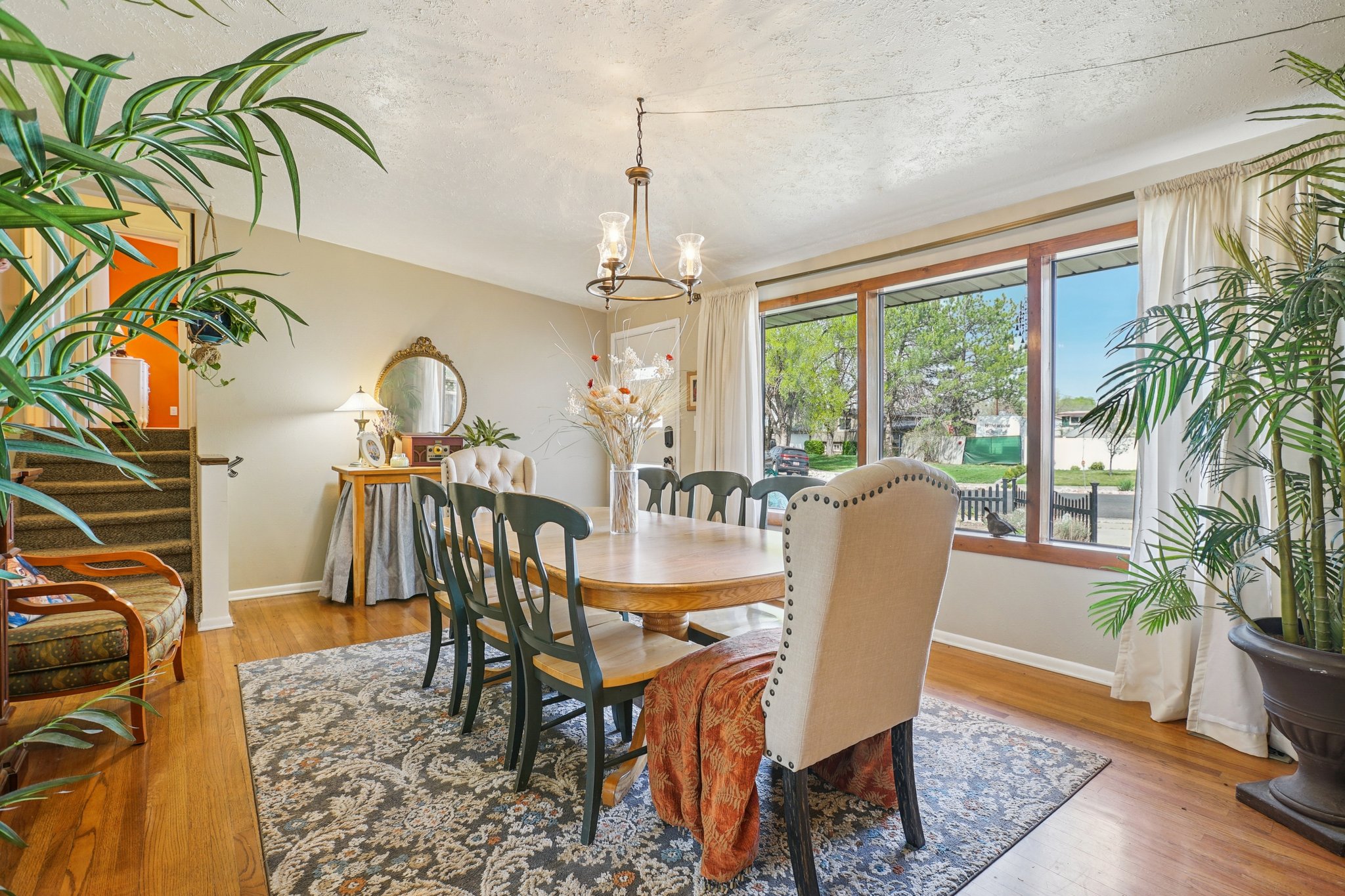 Huge Living Room w/Picture Window.jpg