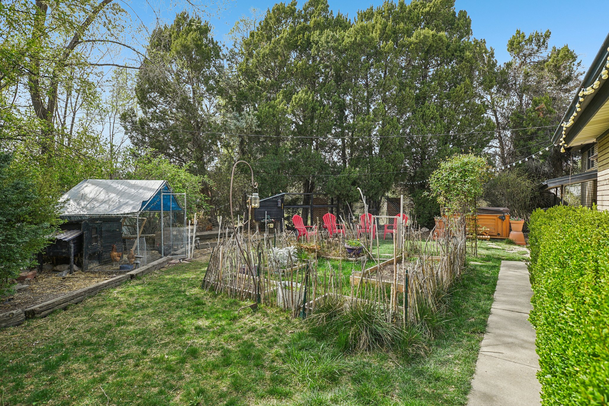 Backyard Surrounded by Wooded Lots.jpg
