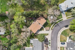 One of a Kind Lot .jpg