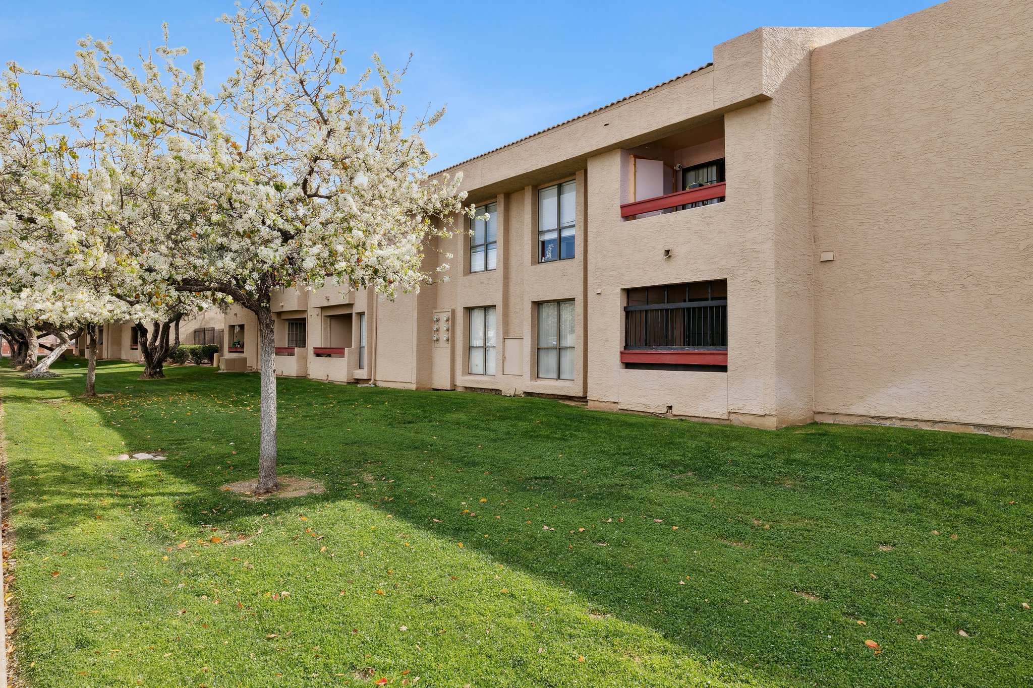 3131 W Cochise Dr 202 - 001.jpg