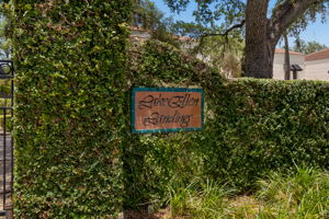 DSC_9359