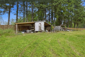  Photo 47