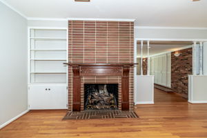 Den Fireplace