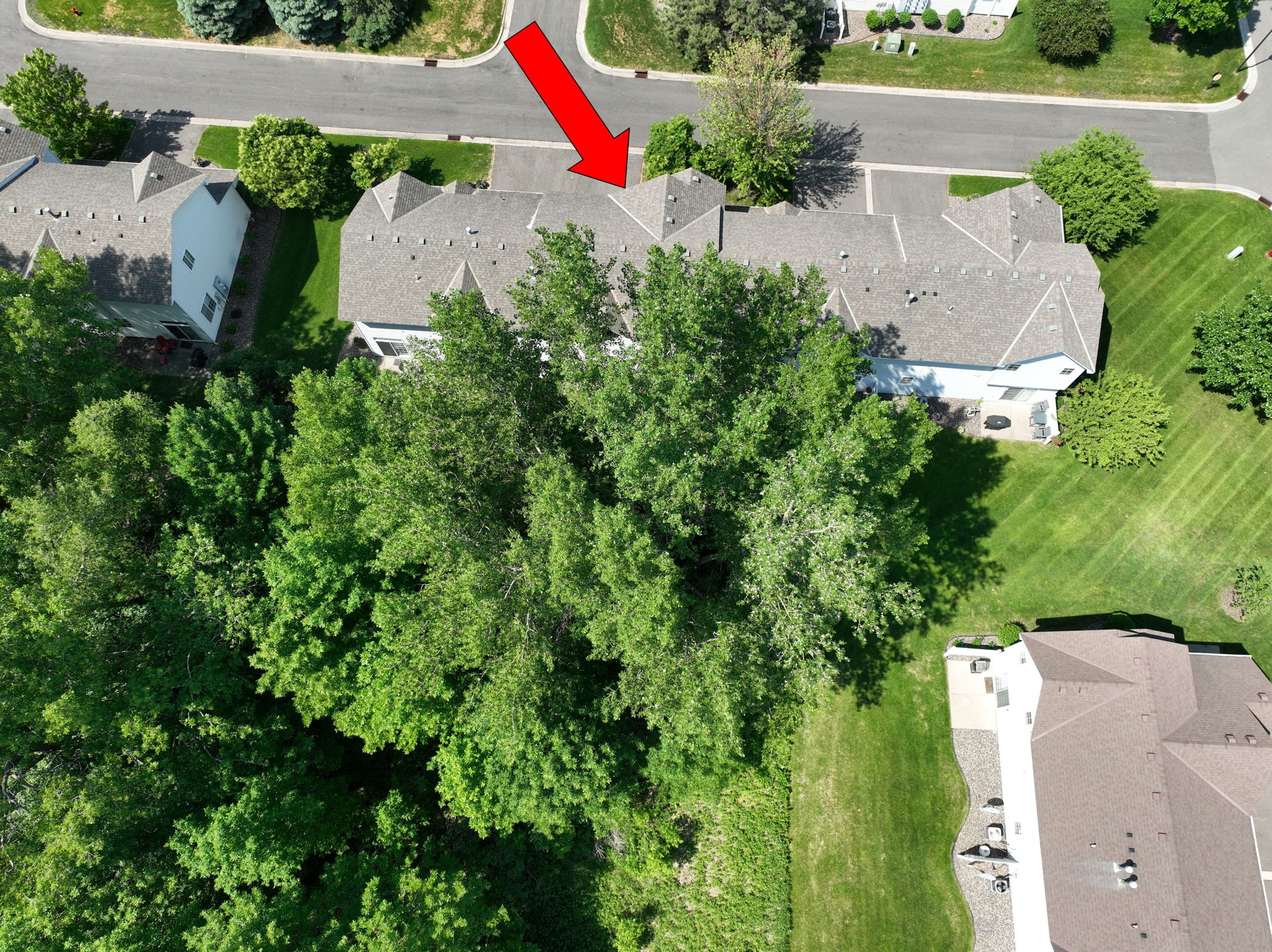 1-great summertime privacy