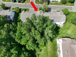 1-great summertime privacy