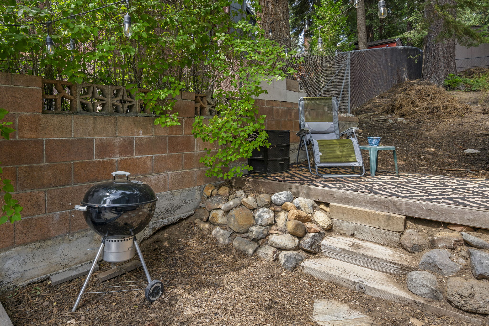 Studio Cabin Side Yard