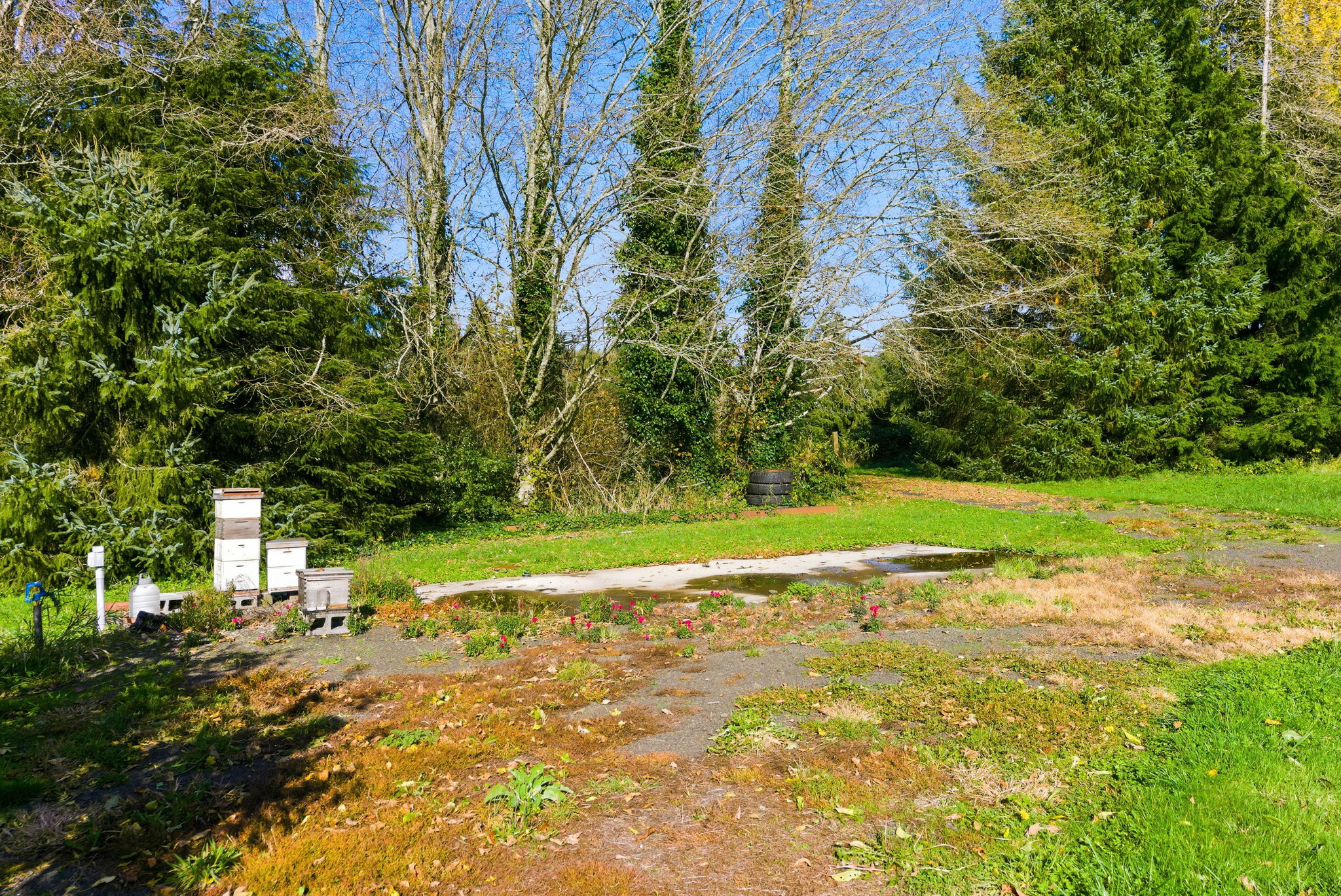 Beehives + RV Pad