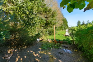 Chicken coop shaded run