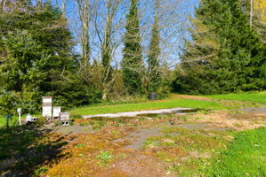 Beehives + RV Pad