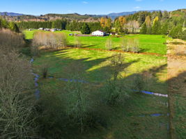View from the back hill