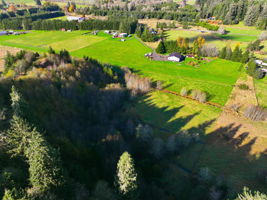 Hilltop foliage, entire property views