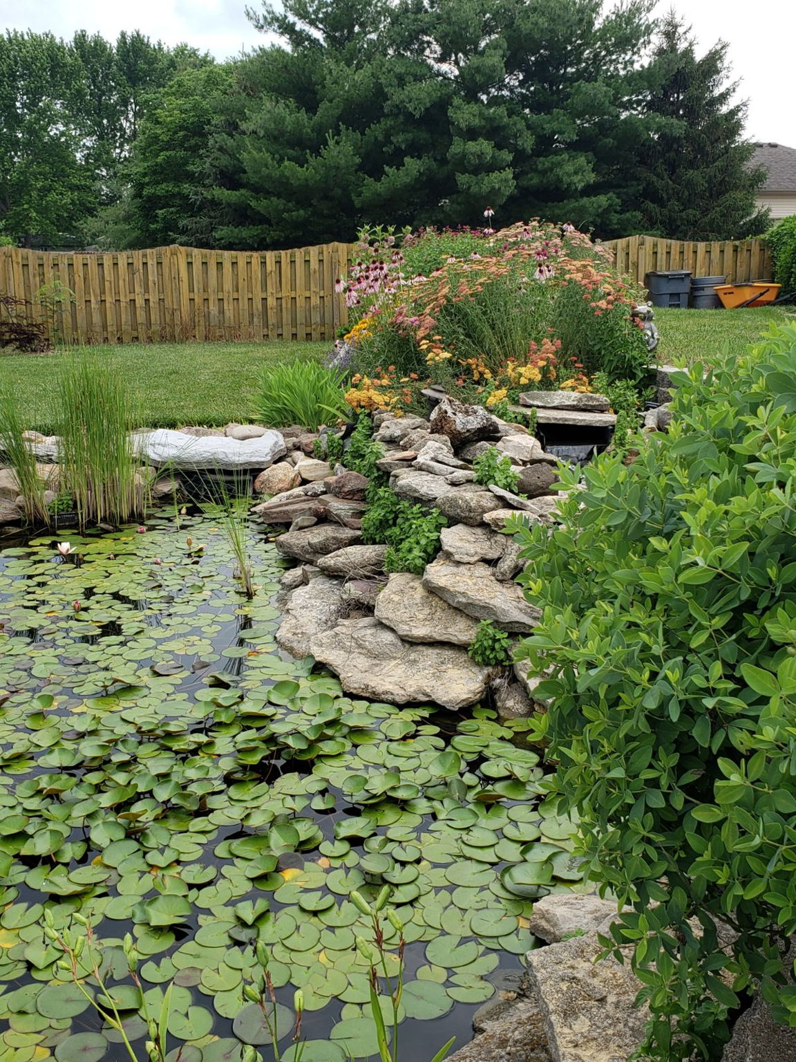  Photo 45