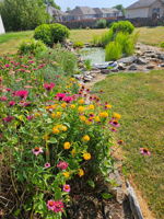 Photo 45