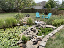  Photo 42