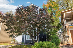 Grant St SE-S0411-004.jpg