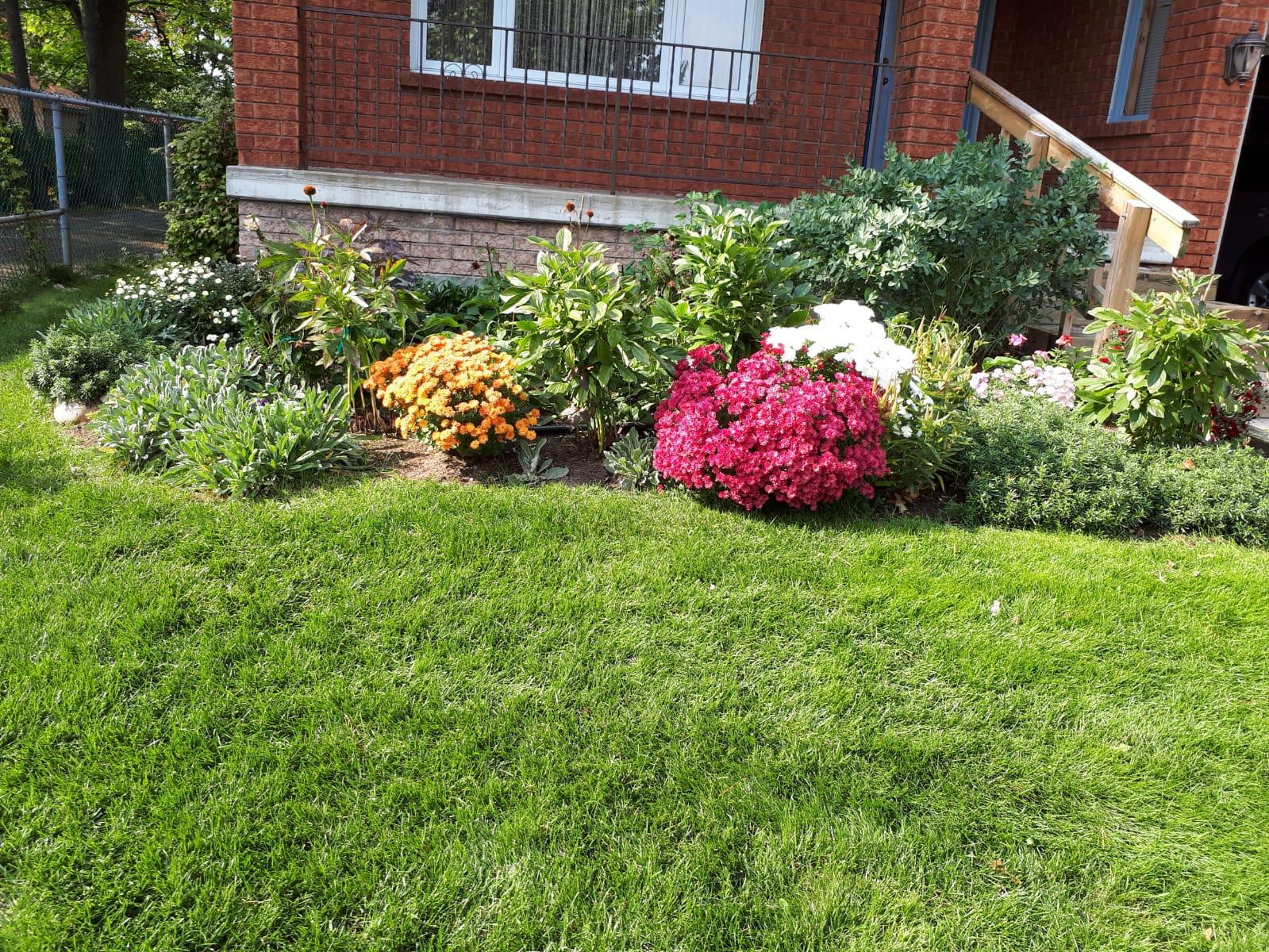 Photo 43