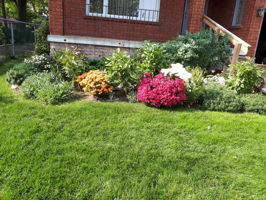  Photo 42