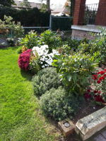  Photo 43
