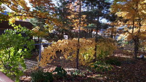  Photo 41