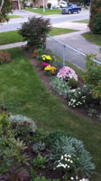  Photo 44