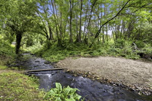  Photo 33