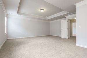 Master Suite w Trey Ceiling