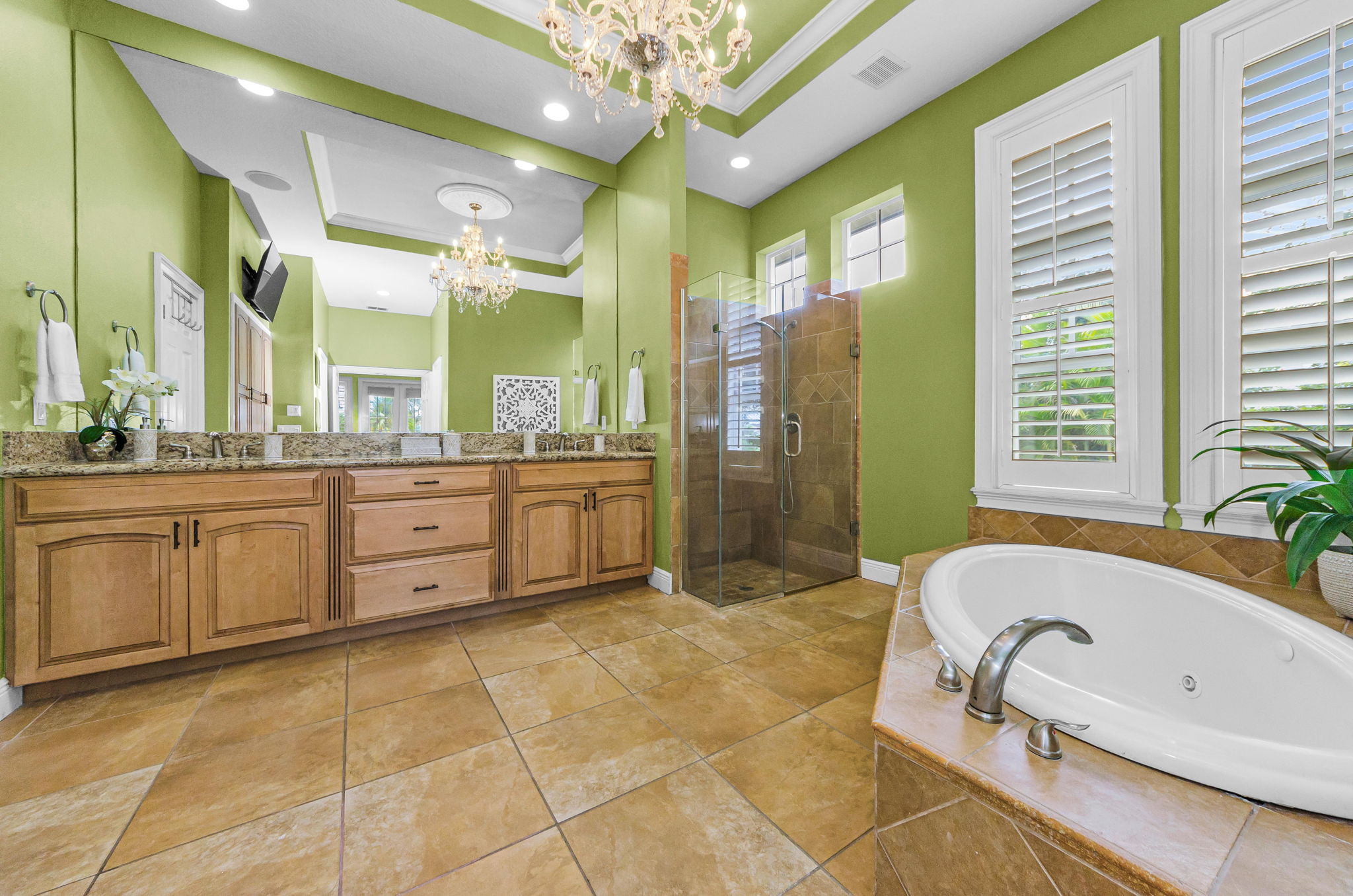 Lower Level Primary Bathroom 1a