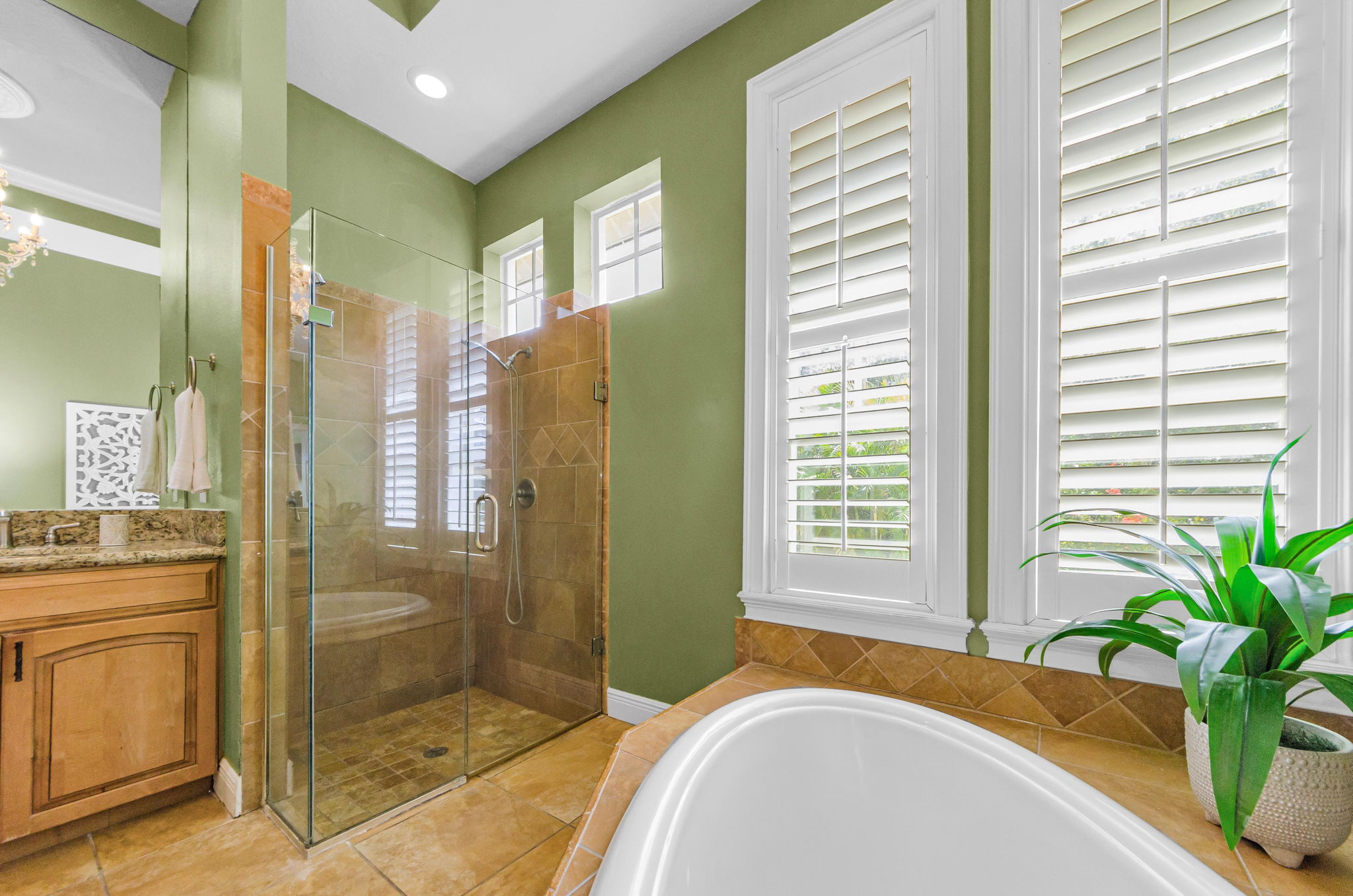 Lower Level Primary Bathroom 1d