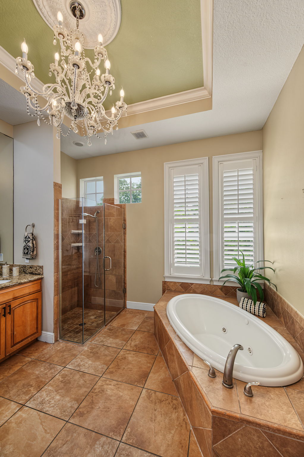 Lower Level Primary Bathroom 1c