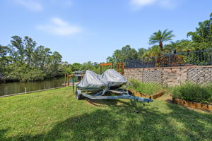 Backyard 4