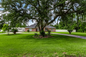 Front Yard