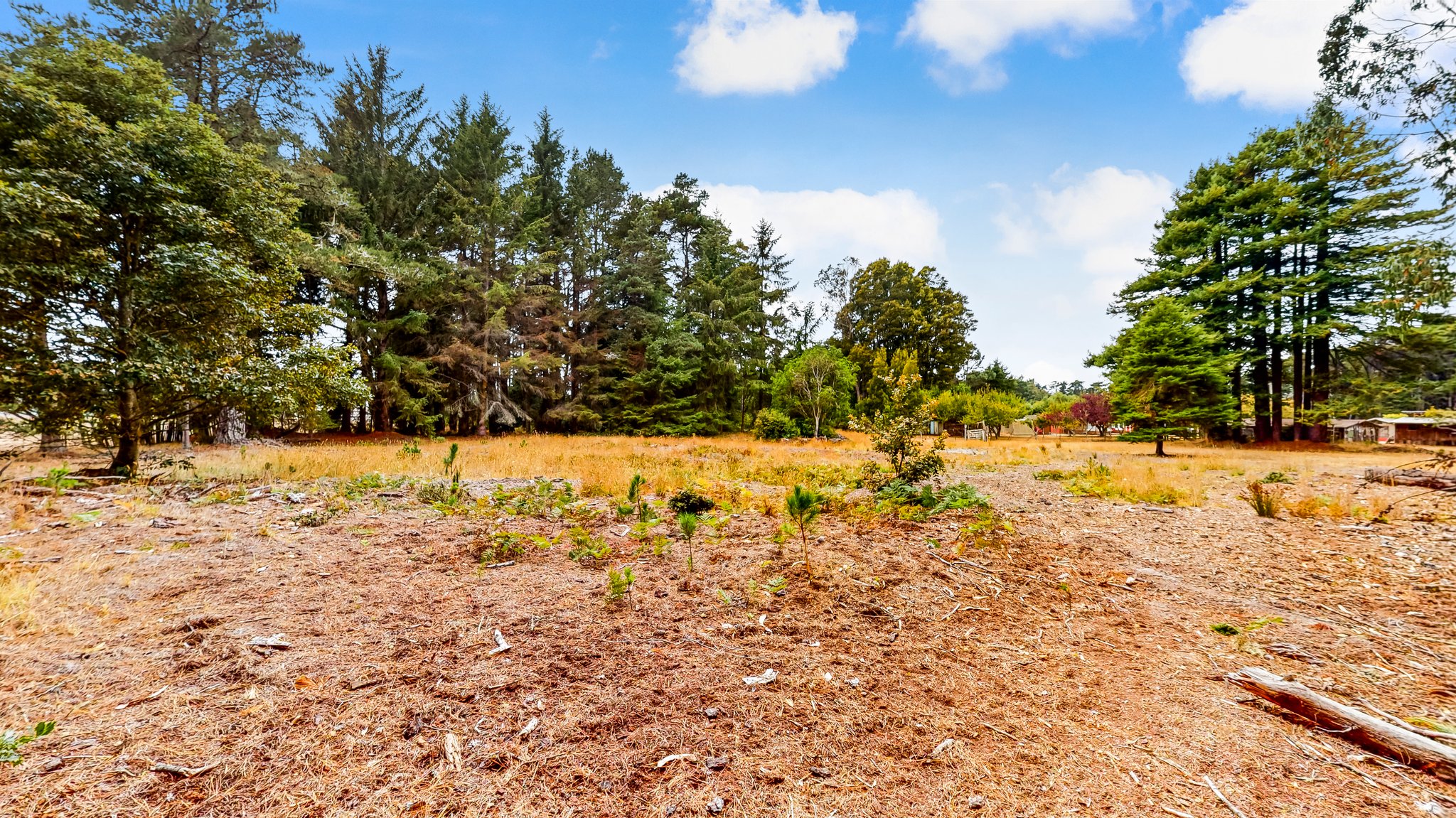 31451 Sherwood Rd, Fort Bragg, CA 95437, USA Photo 71