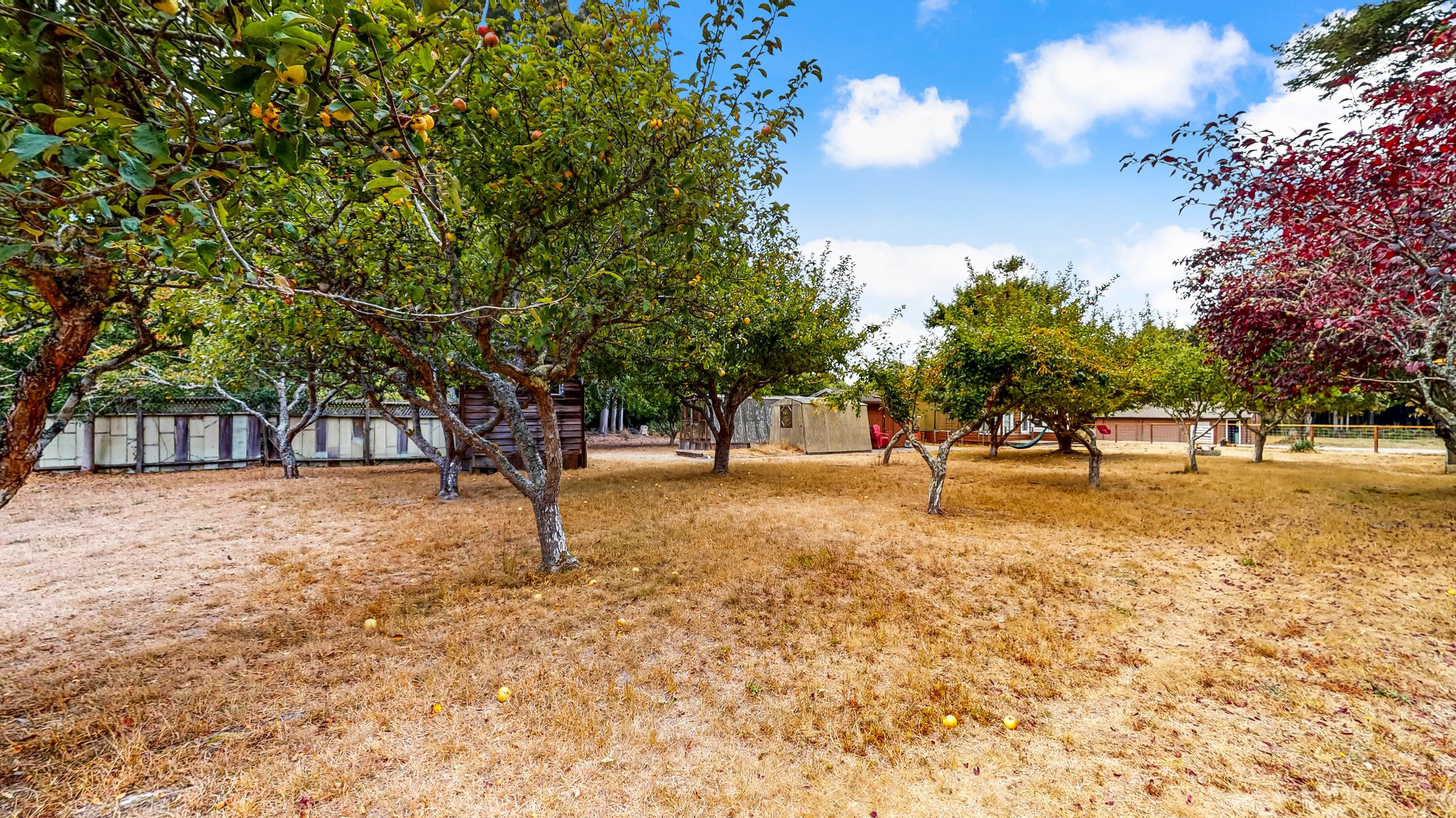 31451 Sherwood Rd, Fort Bragg, CA 95437, USA Photo 52