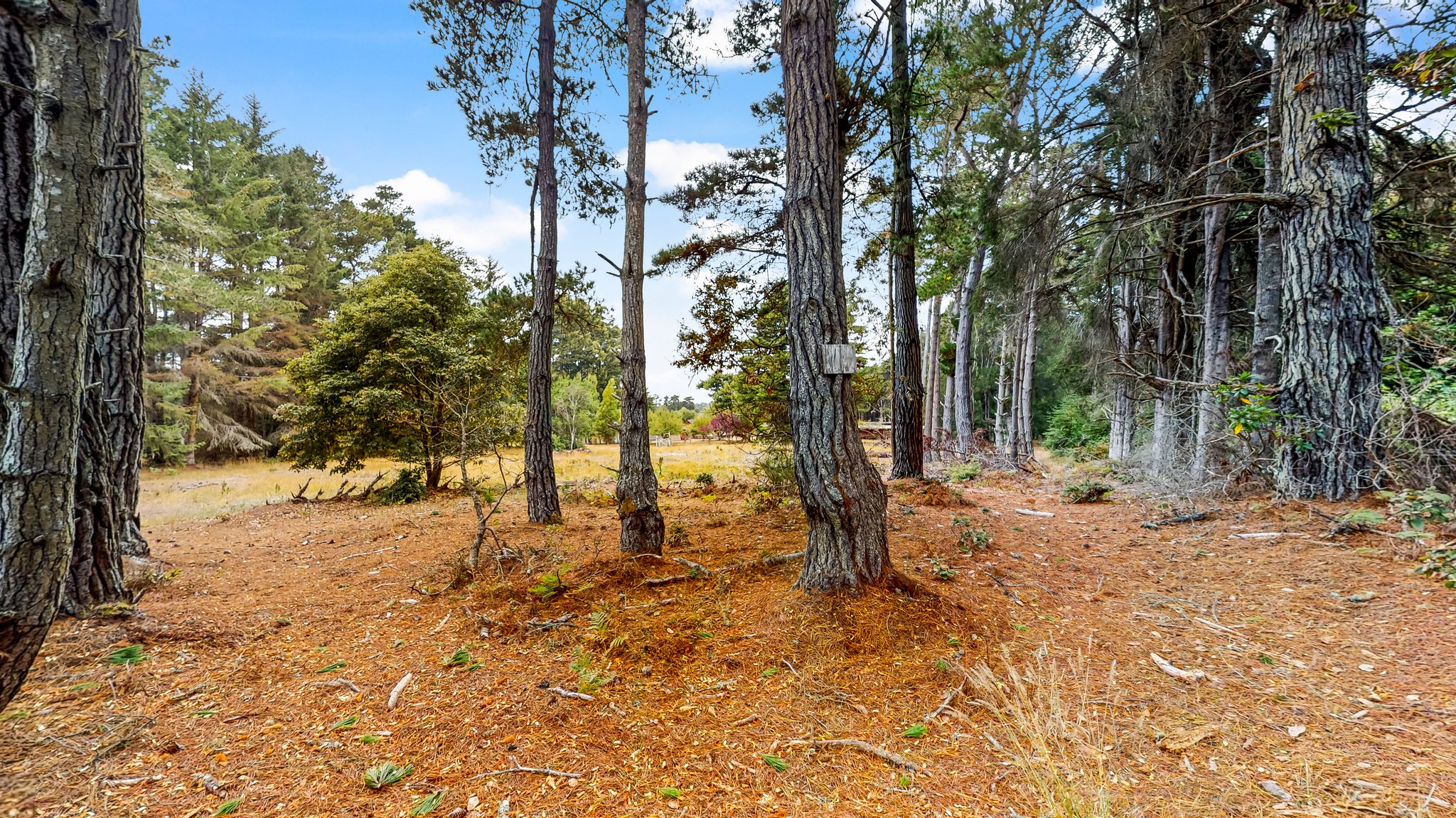 31451 Sherwood Rd, Fort Bragg, CA 95437, USA Photo 70