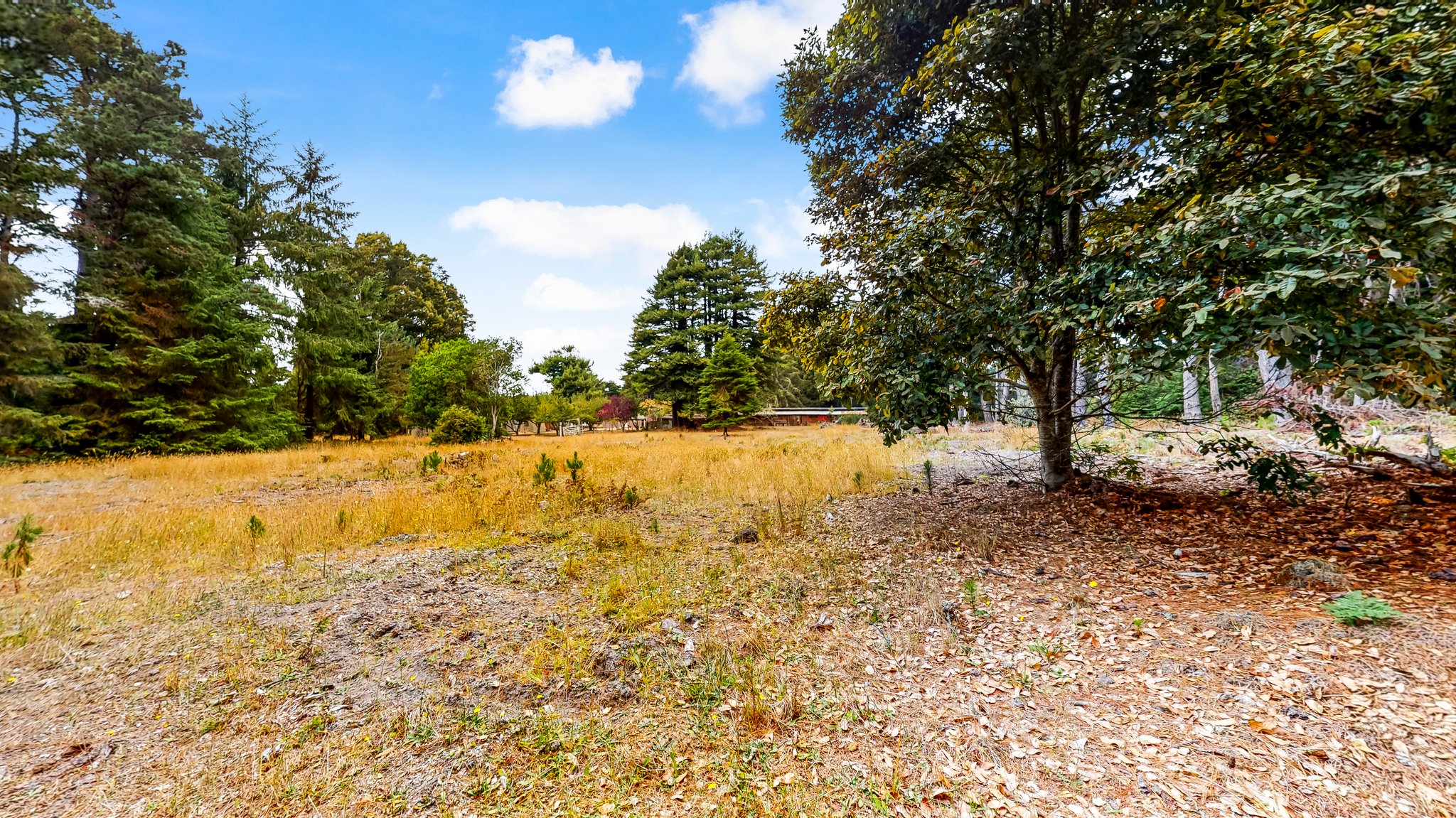 31451 Sherwood Rd, Fort Bragg, CA 95437, USA Photo 68