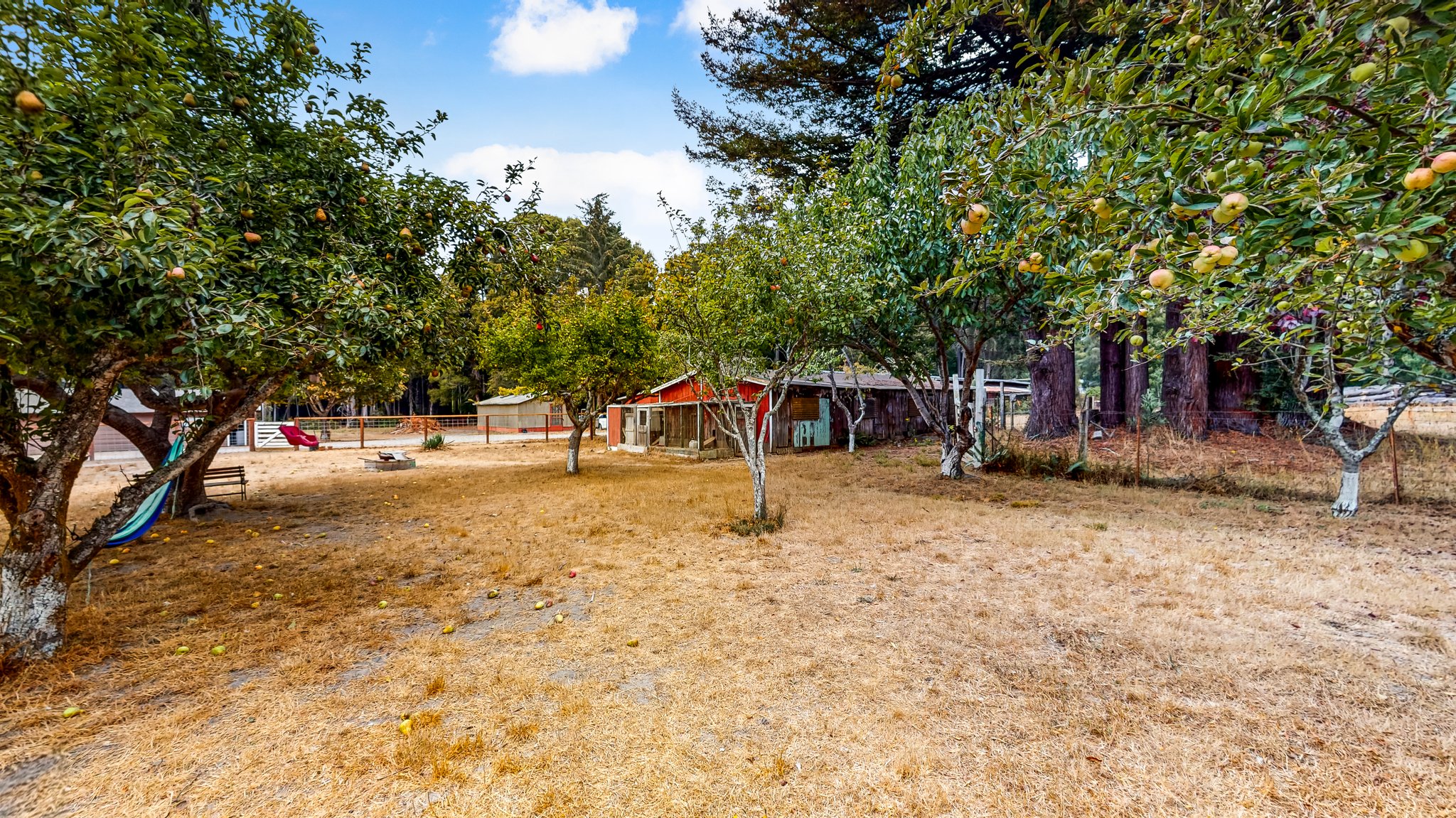31451 Sherwood Rd, Fort Bragg, CA 95437, USA Photo 50