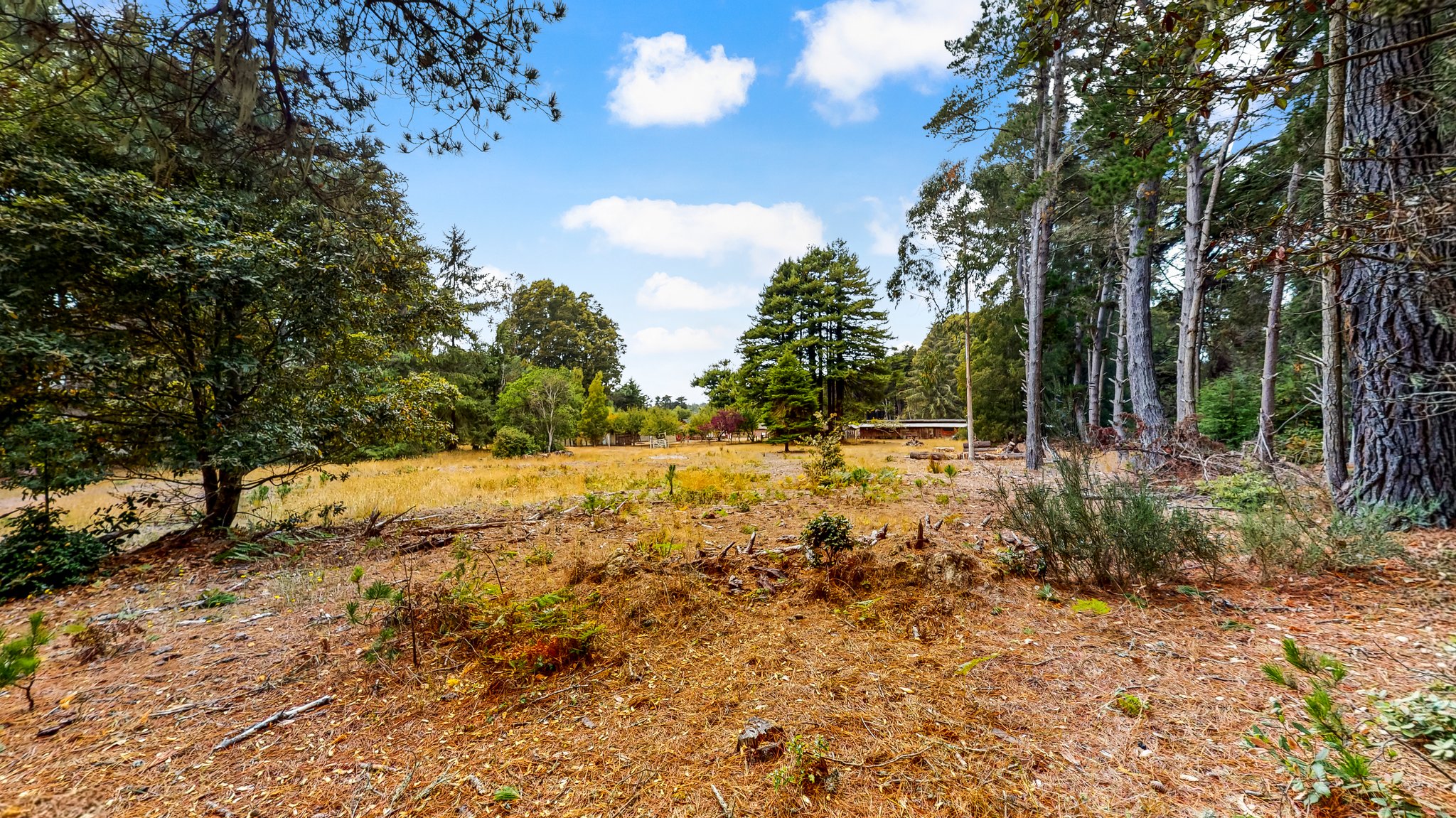 31451 Sherwood Rd, Fort Bragg, CA 95437, USA Photo 69