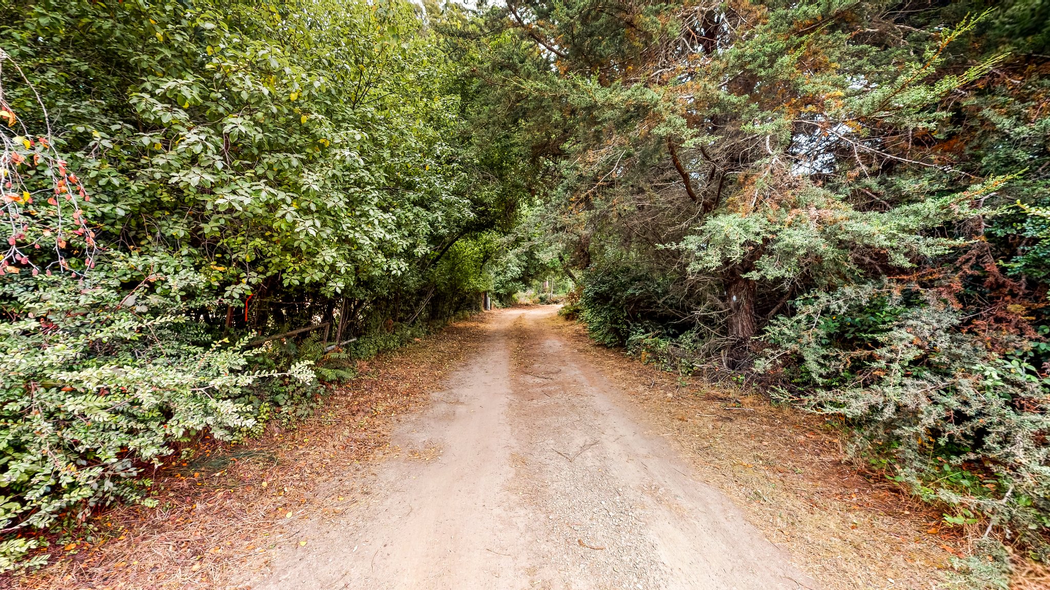 31451 Sherwood Rd, Fort Bragg, CA 95437, USA Photo 43