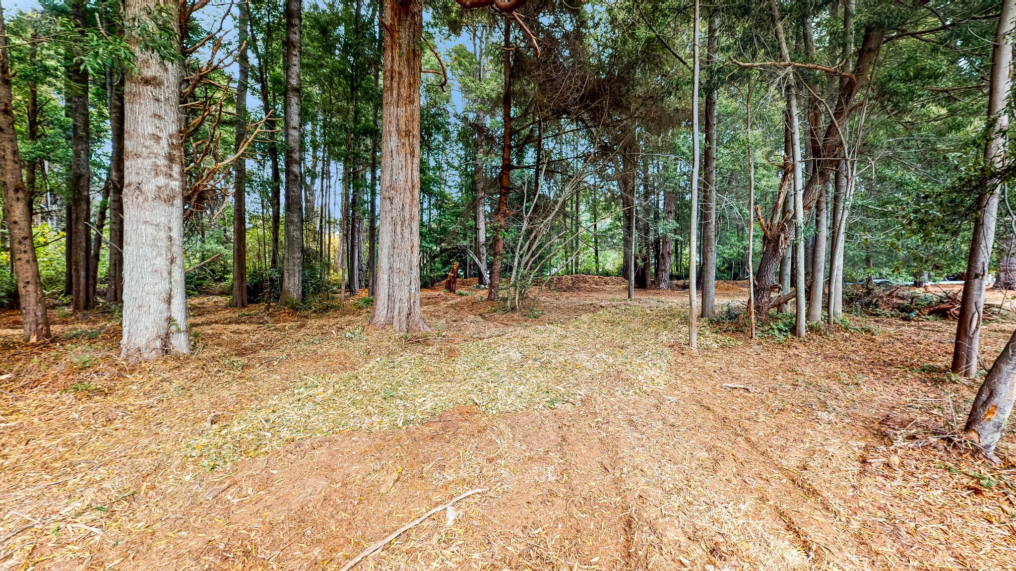 31451 Sherwood Rd, Fort Bragg, CA 95437, USA Photo 34