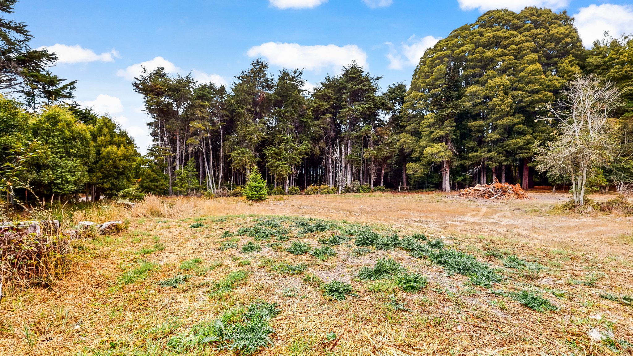 31451 Sherwood Rd, Fort Bragg, CA 95437, USA Photo 39