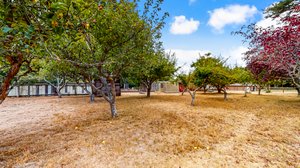 31451 Sherwood Rd, Fort Bragg, CA 95437, USA Photo 51