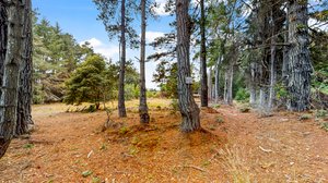 31451 Sherwood Rd, Fort Bragg, CA 95437, USA Photo 69